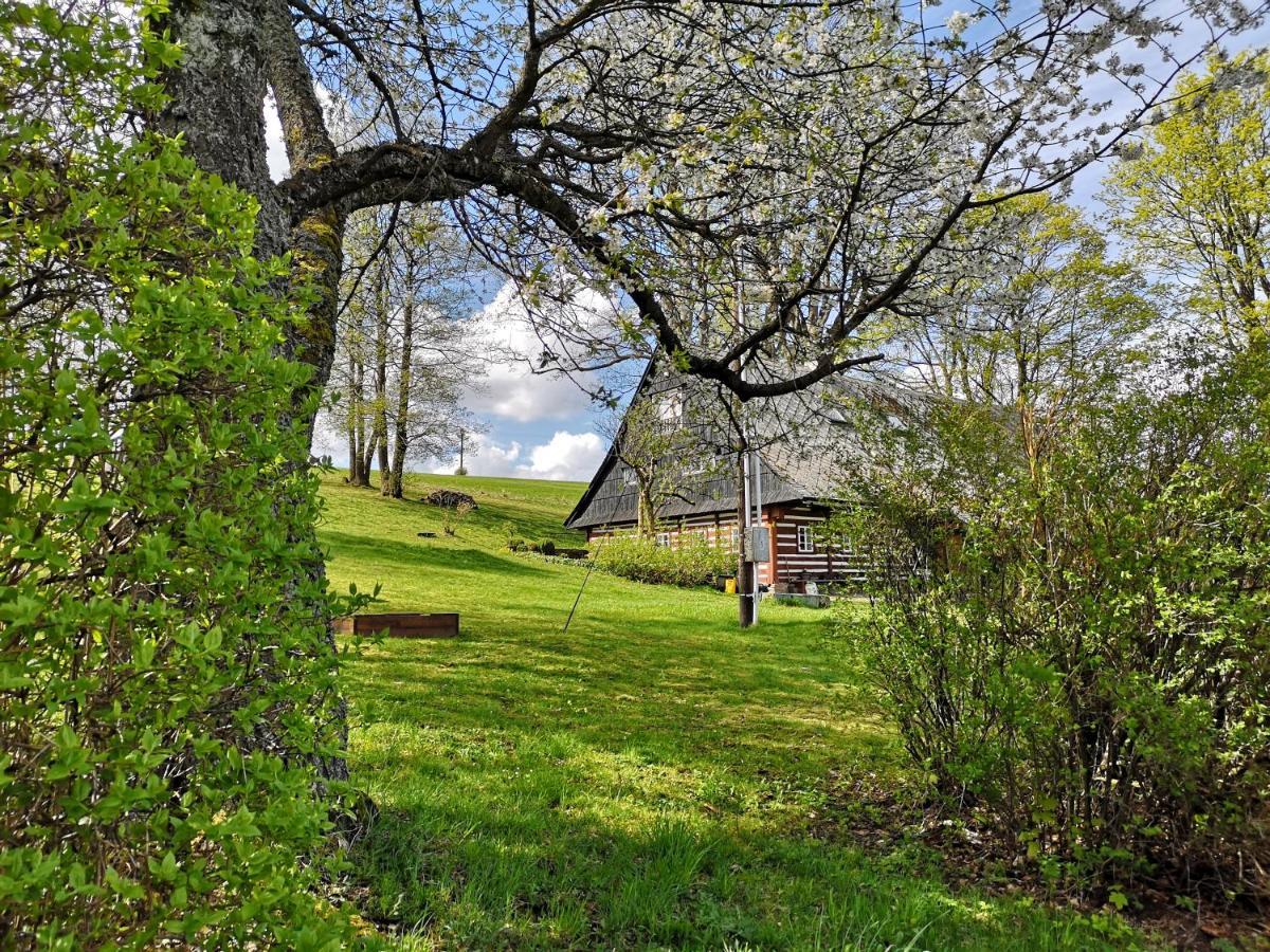 Apartmán Pohoda v Říčkách Říčky Exteriér fotografie